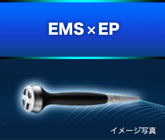 EMS×エレクトロポレーション